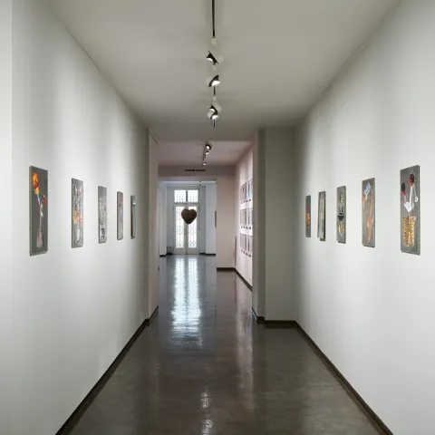 Jiří Petrbok, Kytky, 1998-1999