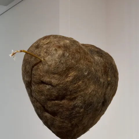 Jiří Petrbok, Dítě Věry, 2002