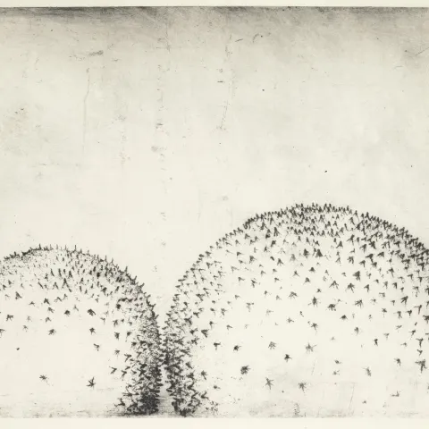 Miloš Šefčík, Ostny, 50x66 cm, suchá jehla, 1988