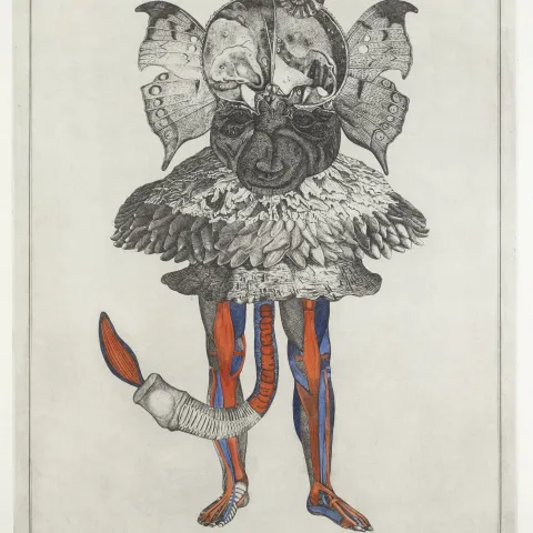 Jan Švankmajer, Přírodopis IX, 76x54cm, koláž,1973