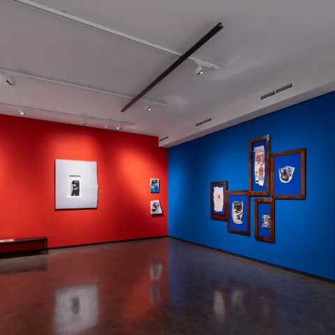 Pohled do výstavy CutUm