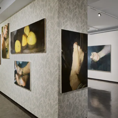 Zbyněk Sedlecký, výstava Lokace